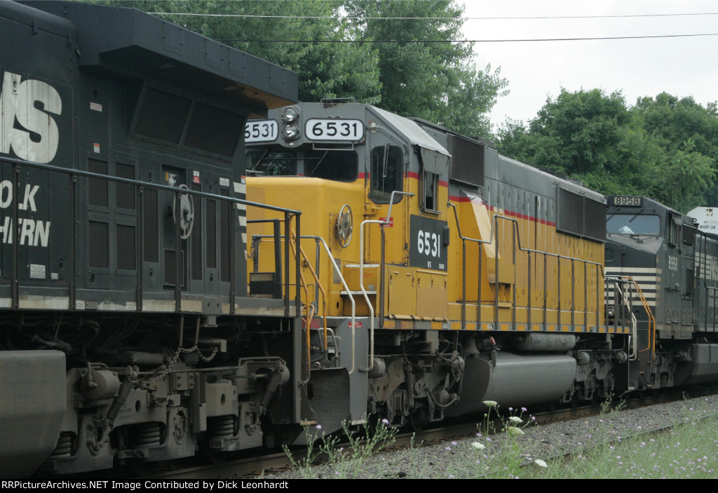 NS 6531